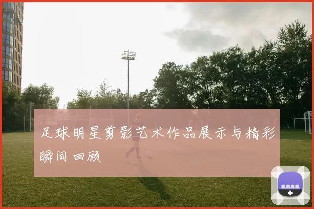 足球明星剪影艺术作品展示与精彩瞬间回顾
