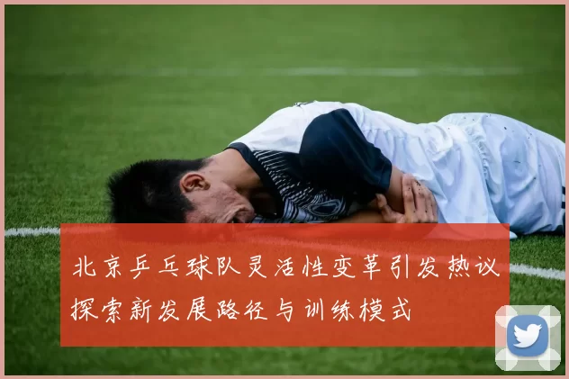 北京乒乓球队灵活性变革引发热议探索新发展路径与训练模式