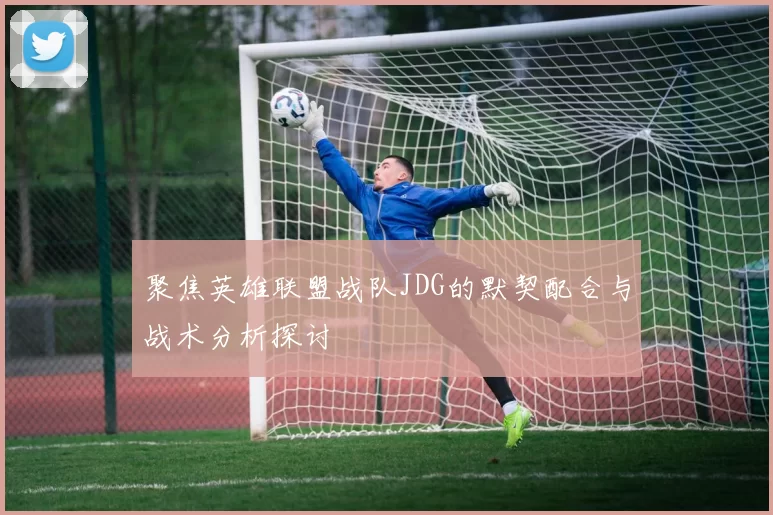 聚焦英雄联盟战队JDG的默契配合与战术分析探讨