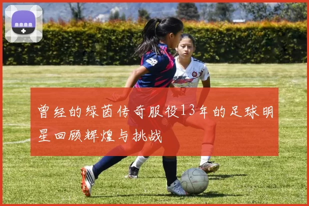 曾经的绿茵传奇服役13年的足球明星回顾辉煌与挑战