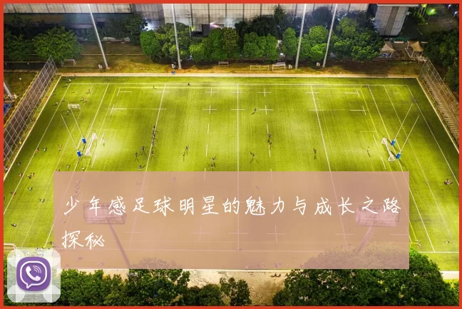 少年感足球明星的魅力与成长之路探秘