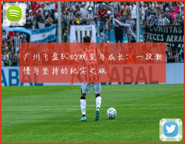 广州飞盘队的蜕变与成长：一段激情与坚持的纪实之旅