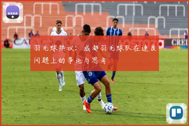 羽毛球热议：成都羽毛球队在速度问题上的争论与思考