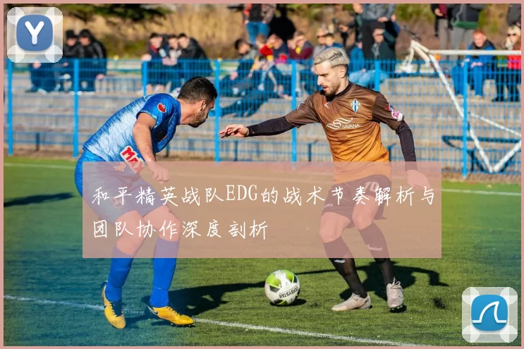 和平精英战队EDG的战术节奏解析与团队协作深度剖析