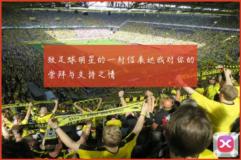 致足球明星的一封信表达我对你的崇拜与支持之情