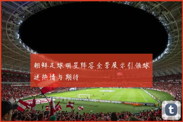 朝鲜足球明星阵容全景展示引领球迷热情与期待