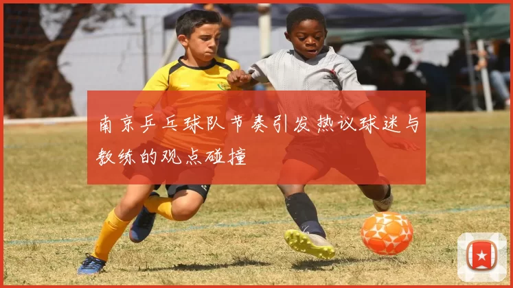 南京乒乓球队节奏引发热议球迷与教练的观点碰撞