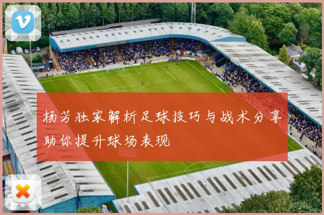 杨芳独家解析足球技巧与战术分享助你提升球场表现