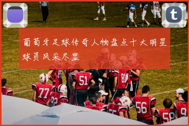 葡萄牙足球传奇人物盘点十大明星球员风采尽显