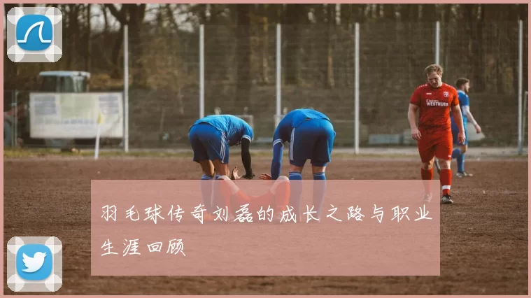 羽毛球传奇刘磊的成长之路与职业生涯回顾