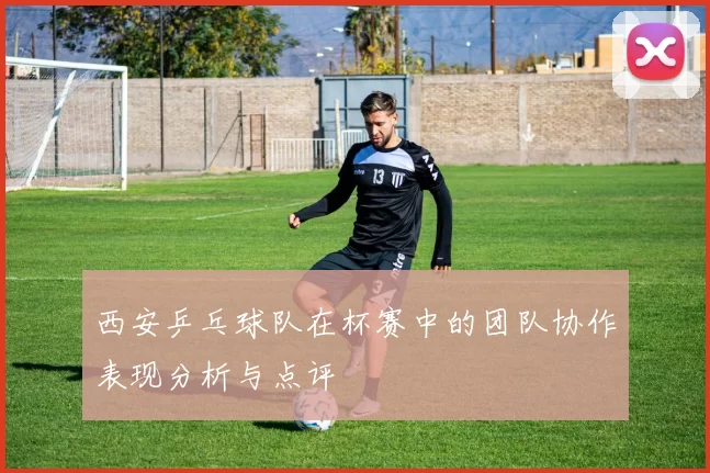 西安乒乓球队在杯赛中的团队协作表现分析与点评