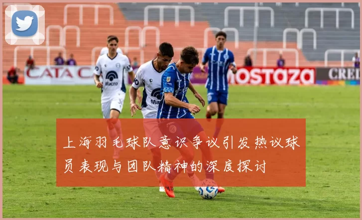 上海羽毛球队意识争议引发热议球员表现与团队精神的深度探讨
