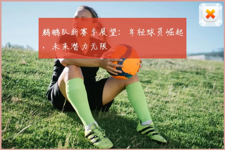 鹈鹕队新赛季展望：年轻球员崛起，未来潜力无限