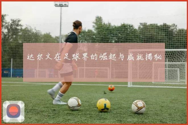 达尔文在足球界的崛起与成就揭秘