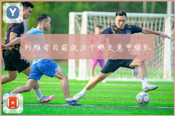 约维奇目前效力于哪支意甲球队