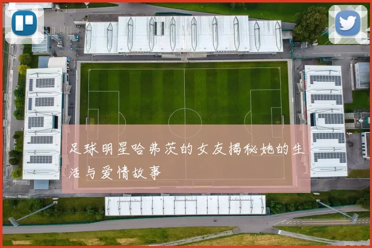 足球明星哈弗茨的女友揭秘她的生活与爱情故事